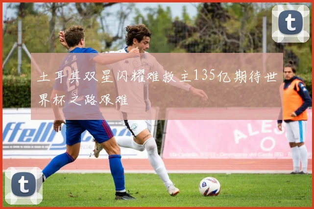 土耳其双星闪耀难救主135亿期待世界杯之路艰难