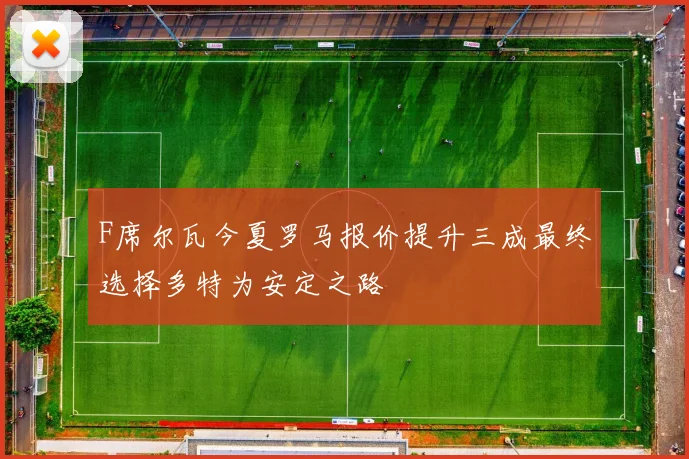 F席尔瓦今夏罗马报价提升三成最终选择多特为安定之路