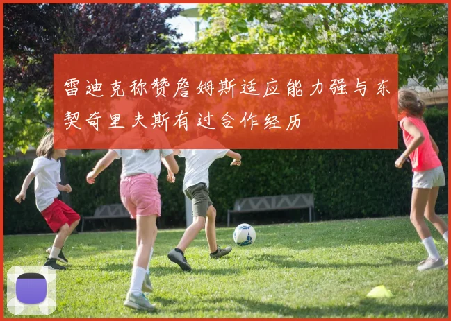雷迪克称赞詹姆斯适应能力强与东契奇里夫斯有过合作经历