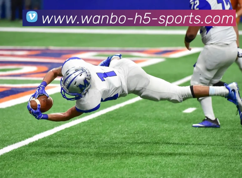 多媒体互动体验