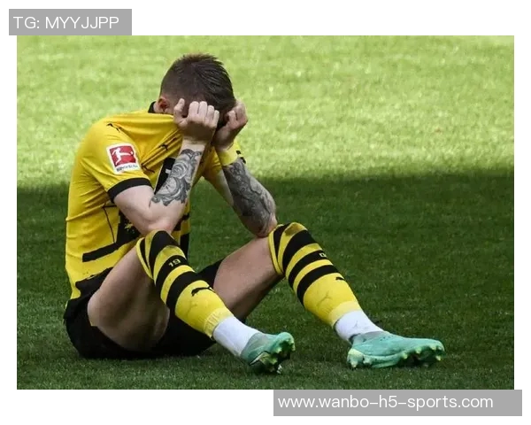 罗伊斯重返多特主场感慨万千出任俱乐部大使心系家园